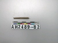 藏品(磨製石針)的圖片